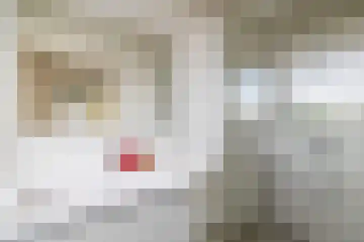 Slotlaan 124 Capelle aan den IJssel thumbnail 21