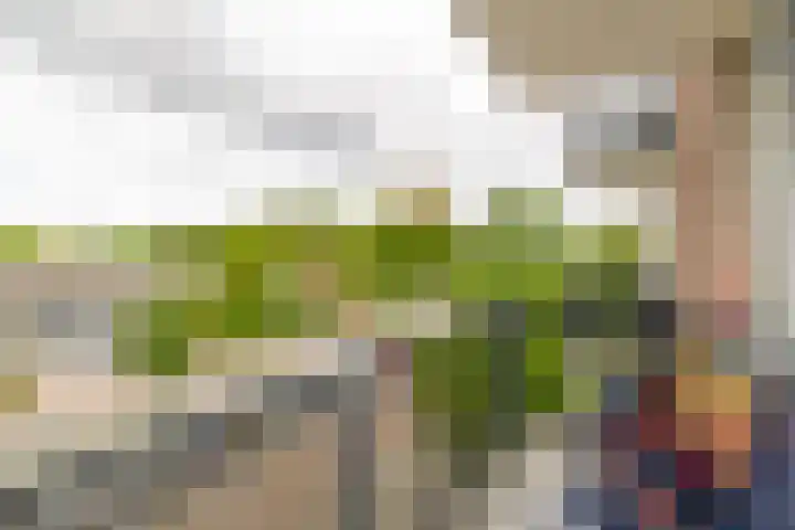 Slotlaan 124 Capelle aan den IJssel thumbnail 26