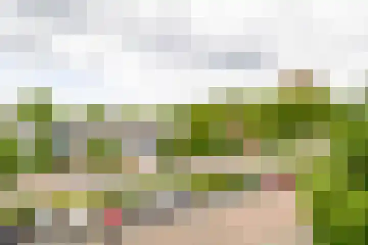 Slotlaan 124 Capelle aan den IJssel thumbnail 28