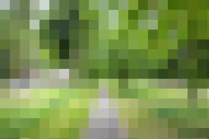 Slotlaan 126 Utrecht thumbnail 37