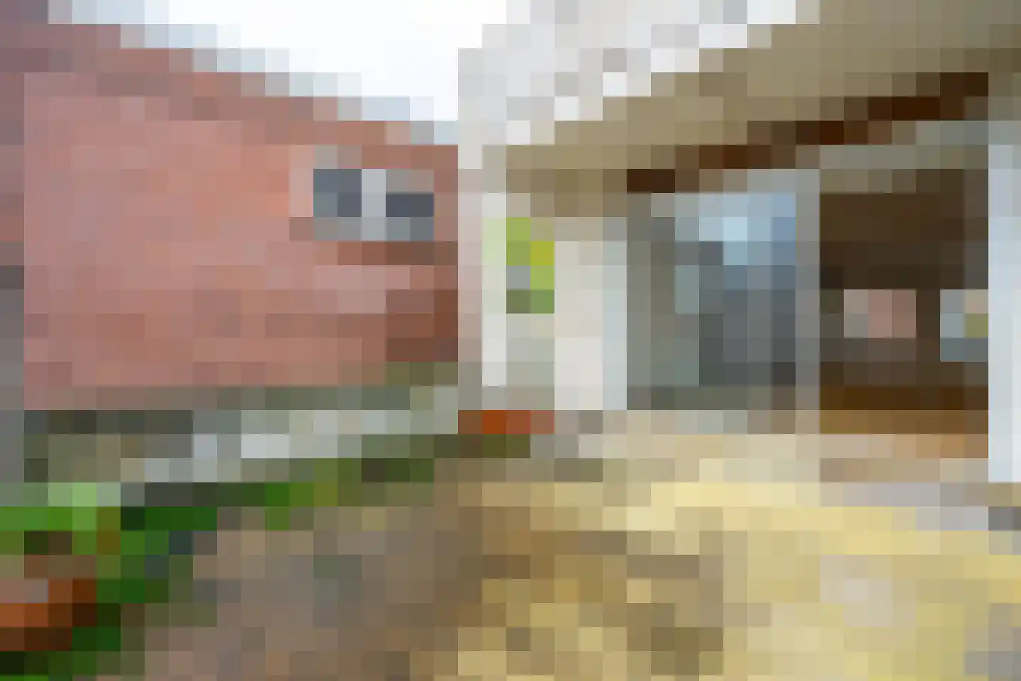 Slotlaan 132 1 Zeist thumbnail 16