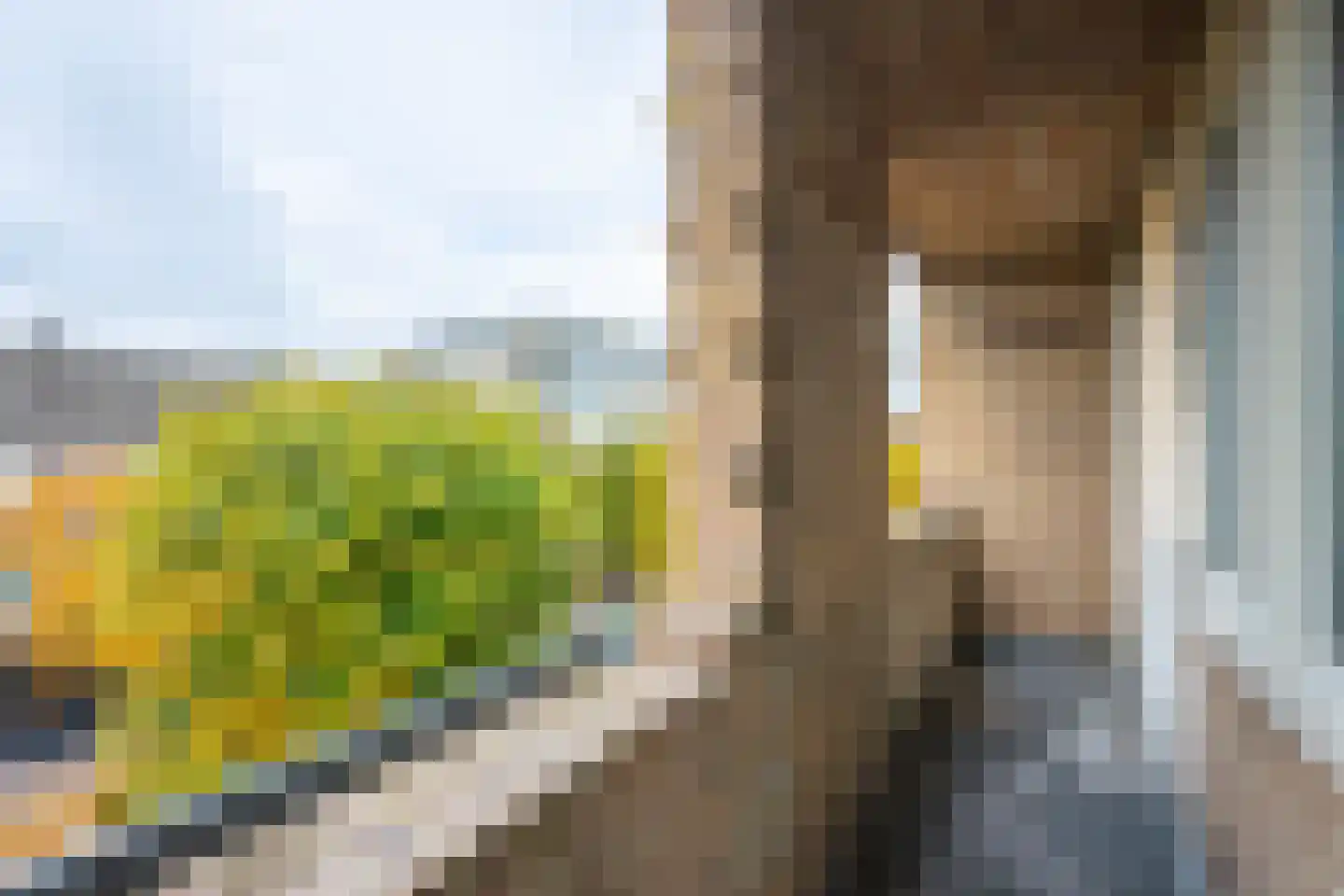 Slotlaan 132 1 Zeist thumbnail 29