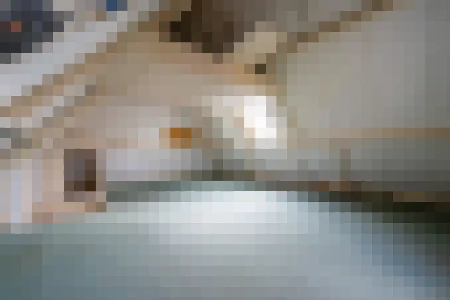 Slotlaan 132 1 Zeist thumbnail 38