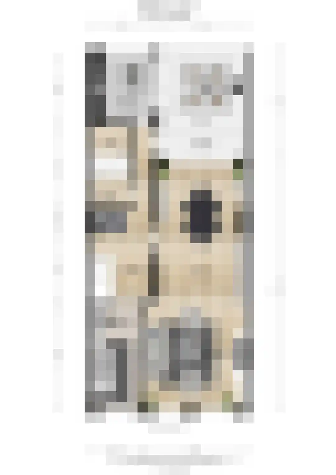 Slotlaan 132 1 Zeist thumbnail 46