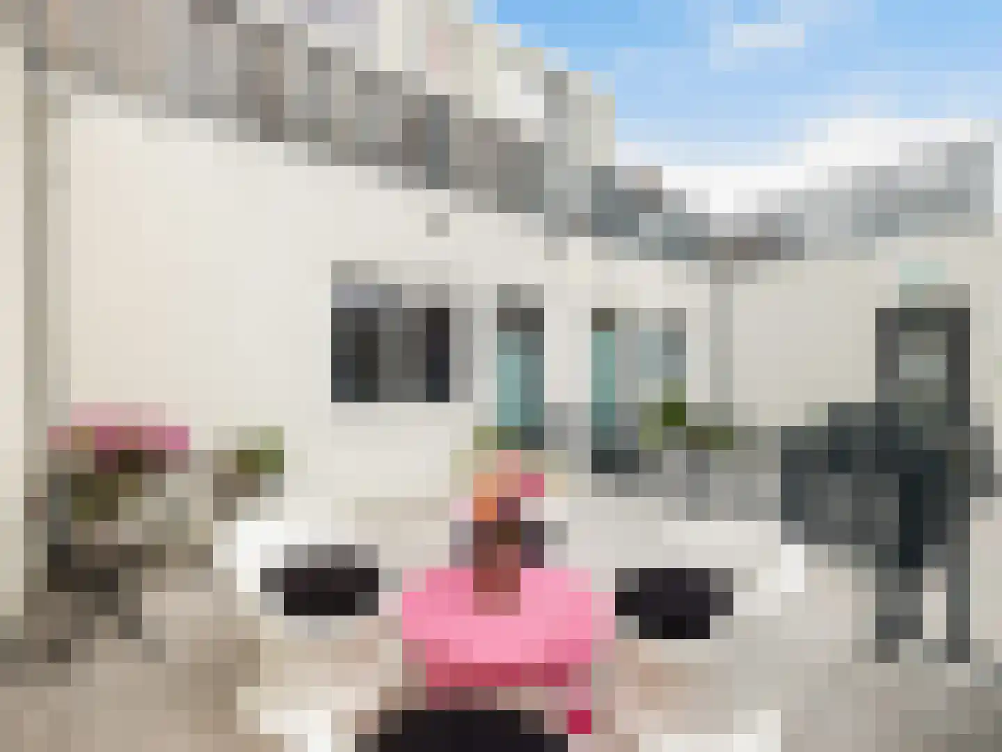 Slotlaan 137 A Zeist thumbnail 32