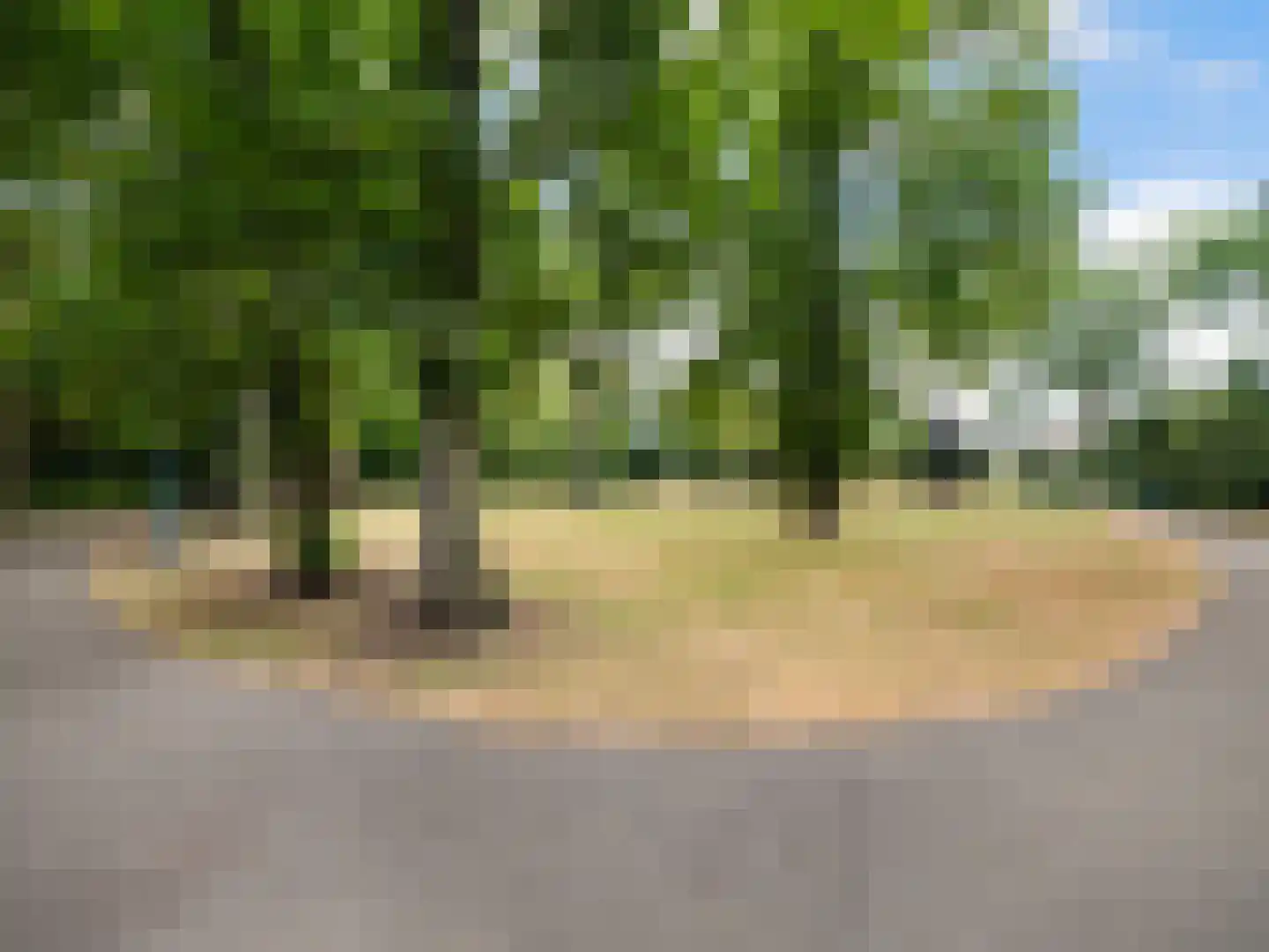 Slotlaan 137 A Zeist thumbnail 34