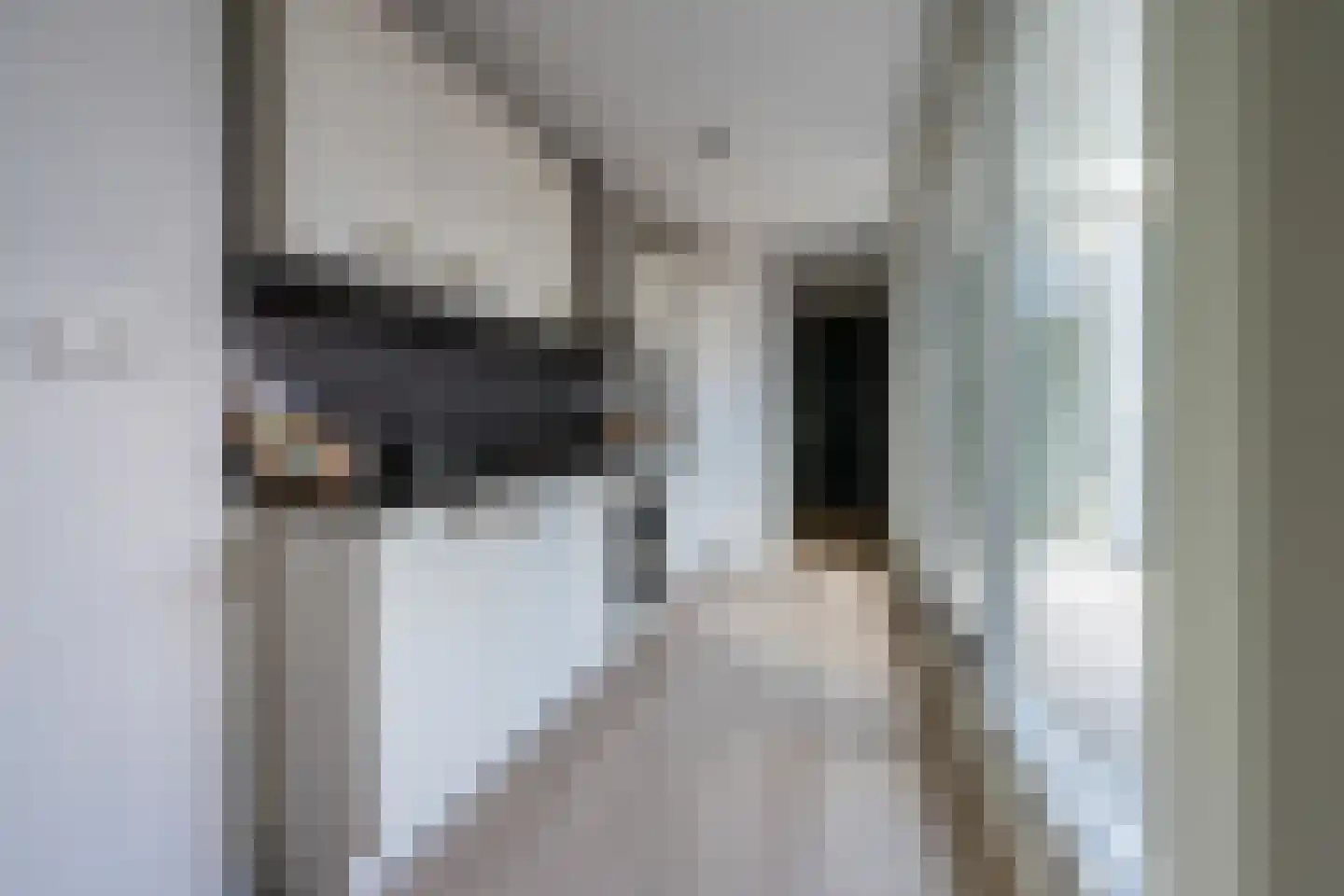 Slotlaan 137 B Zeist thumbnail 10