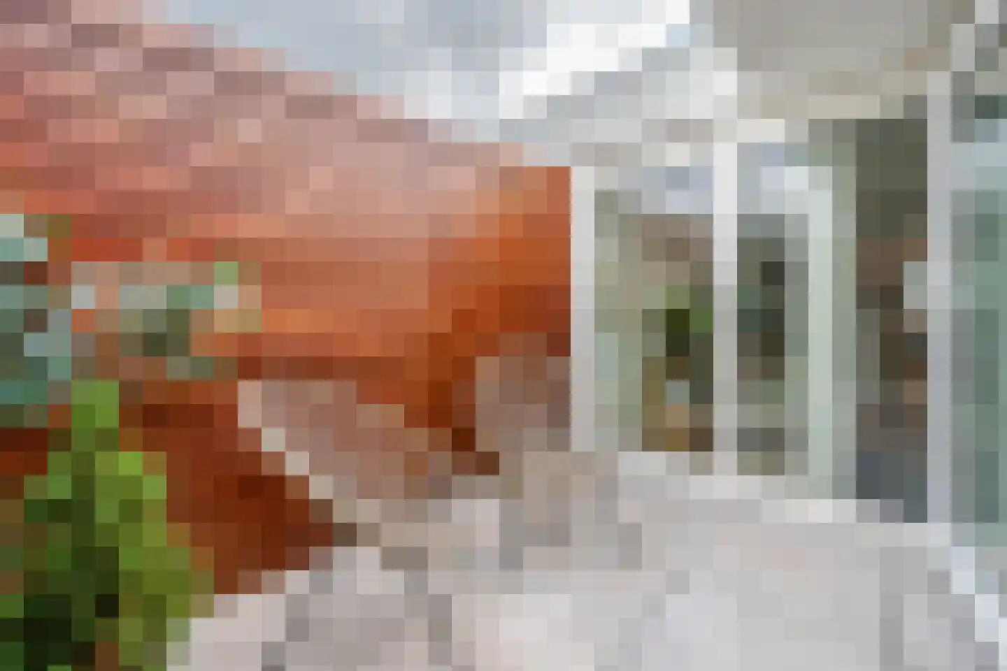 Slotlaan 137 B Zeist thumbnail 23