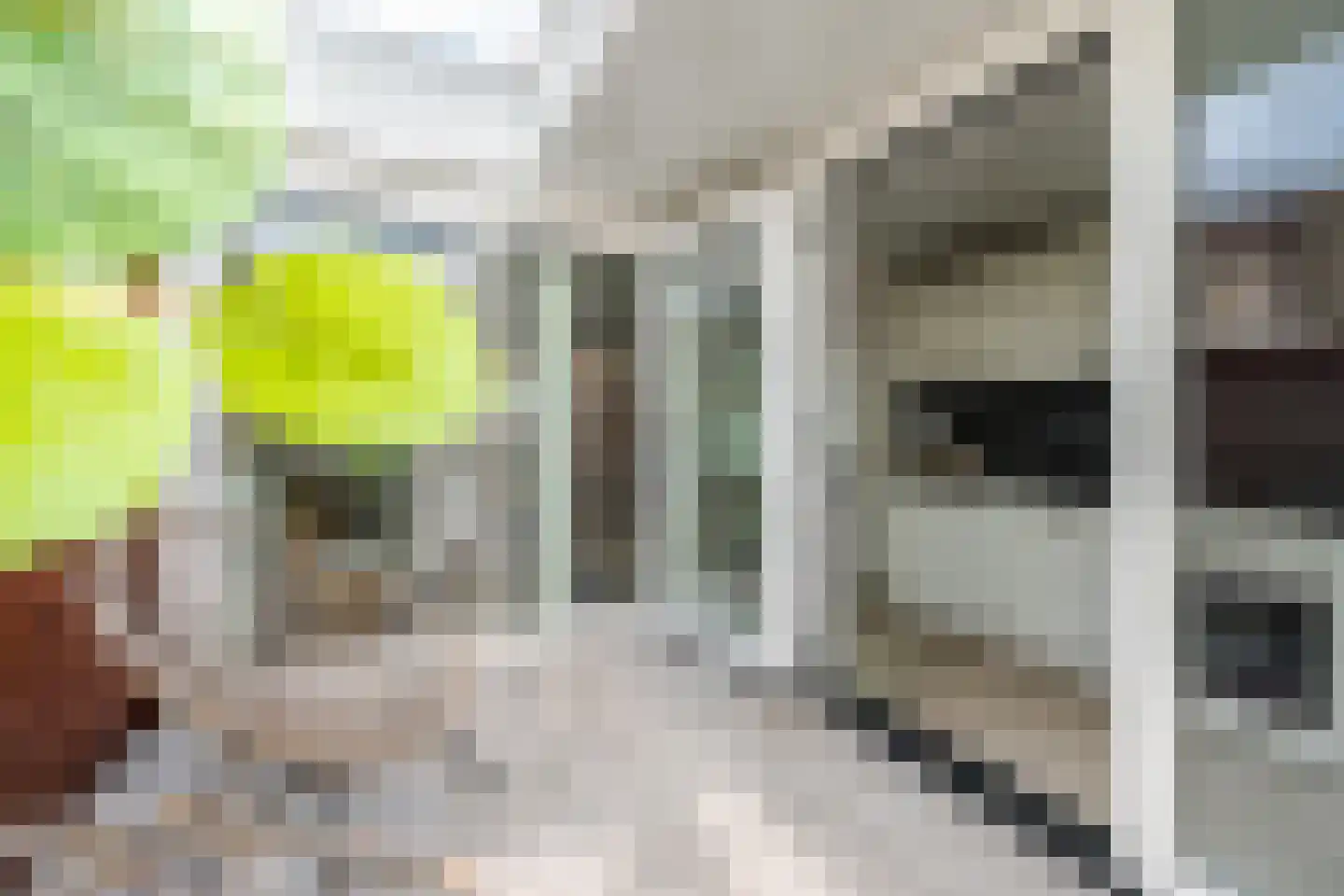 Slotlaan 137 B Zeist thumbnail 24