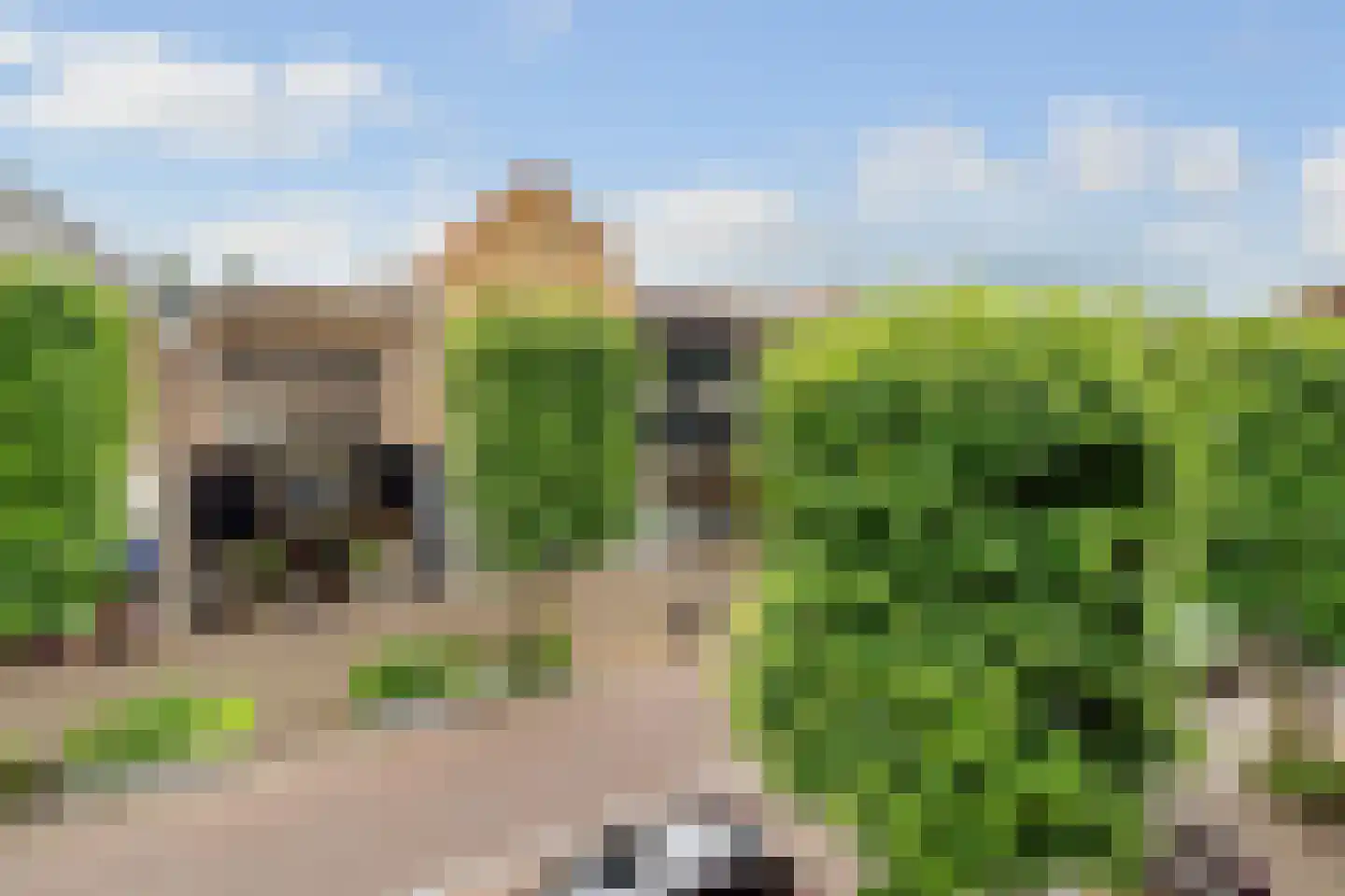 Slotlaan 137 D Zeist thumbnail 20