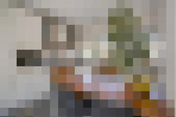 Slotlaan 14 Oudorp thumbnail 15
