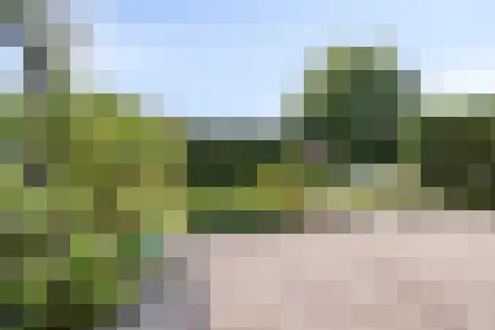 Slotlaan 14 Oudorp thumbnail 24