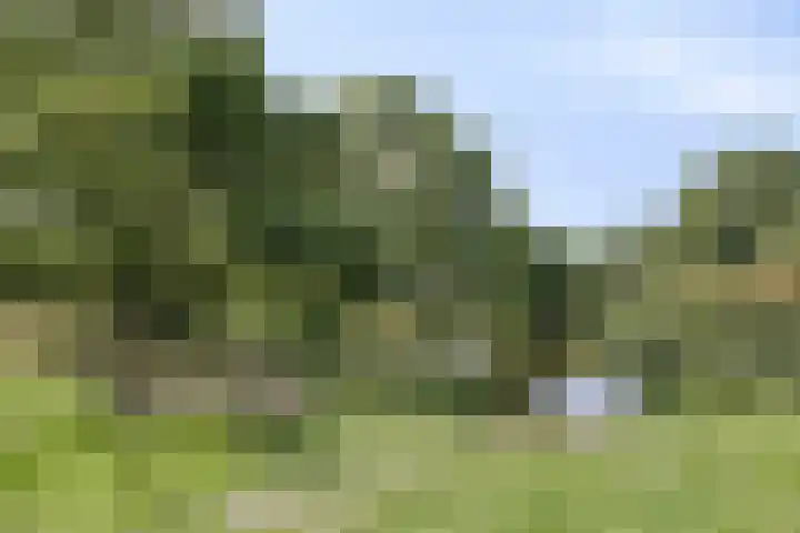 Slotlaan 14 Oudorp thumbnail 36