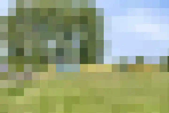 Slotlaan 14 Oudorp thumbnail 37