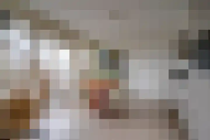 Slotlaan 151 2 Zeist thumbnail 10