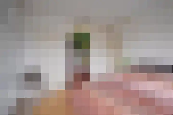 Slotlaan 151 2 Zeist thumbnail 18