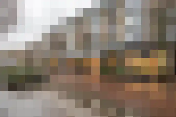 Slotlaan 151 2 Zeist thumbnail 26