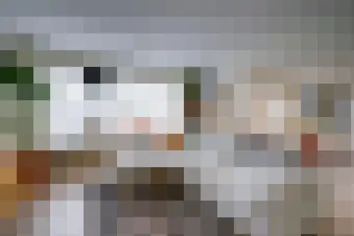 Slotlaan 151 2 Zeist thumbnail 5