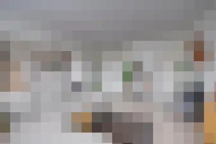Slotlaan 151 2 Zeist thumbnail 6