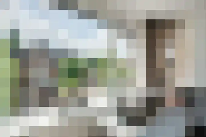 Slotlaan 153 1 Zeist thumbnail 10