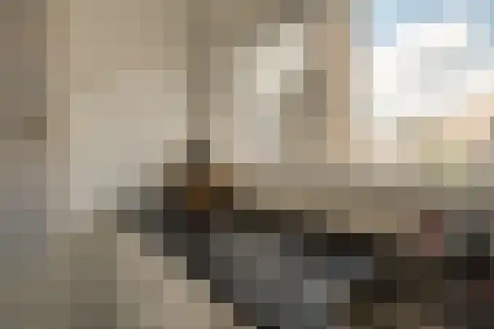 Slotlaan 153 1 Zeist thumbnail 13