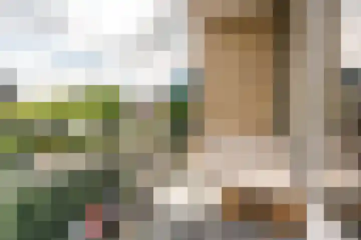 Slotlaan 153 1 Zeist thumbnail 18