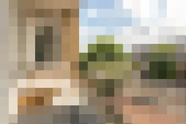 Slotlaan 153 1 Zeist thumbnail 19
