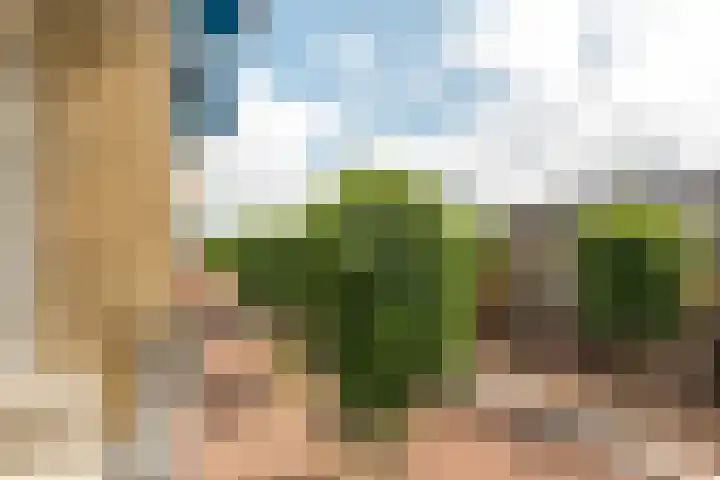 Slotlaan 153 1 Zeist thumbnail 20