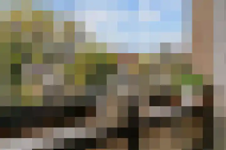 Slotlaan 187 Zeist thumbnail 20