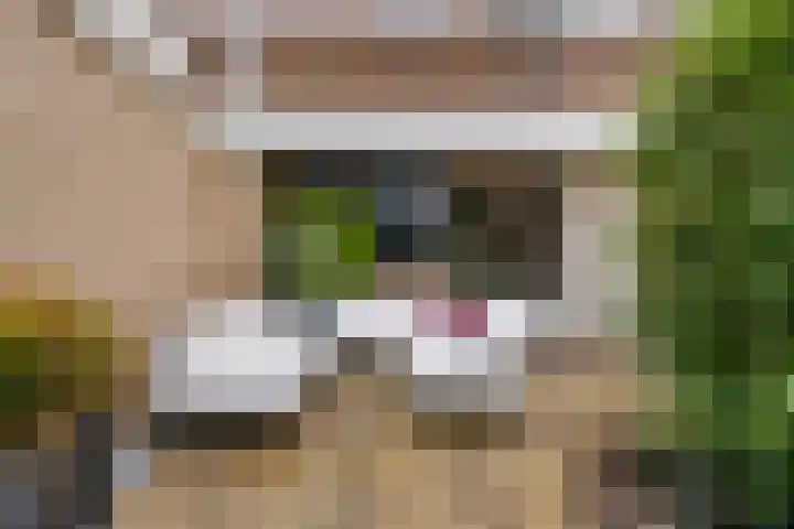 Slotlaan 187 Zeist thumbnail 22