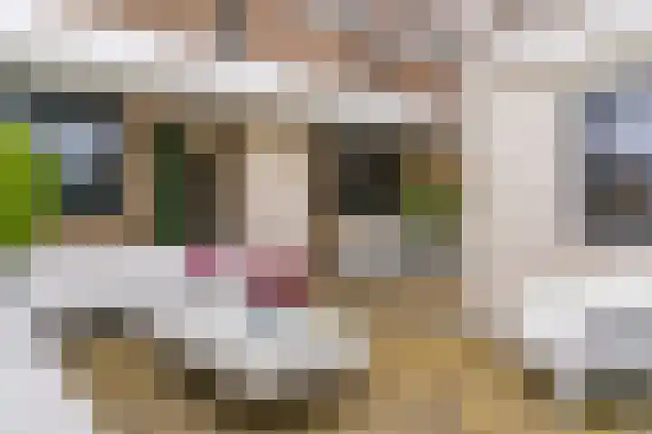 Slotlaan 187 Zeist thumbnail 24