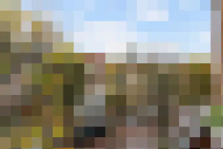 Slotlaan 187 Zeist thumbnail 28
