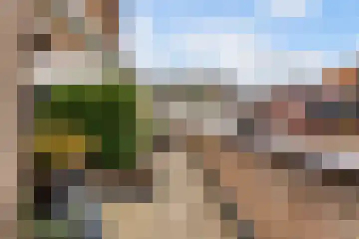 Slotlaan 187 Zeist thumbnail 34