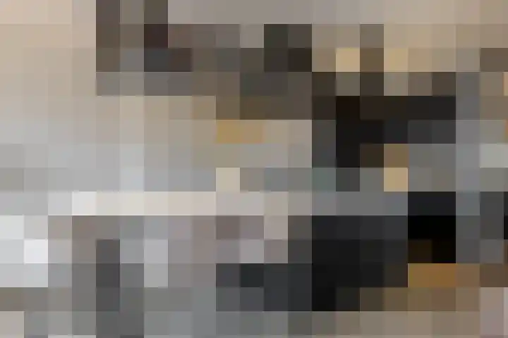 Slotlaan 187 Zeist thumbnail 6