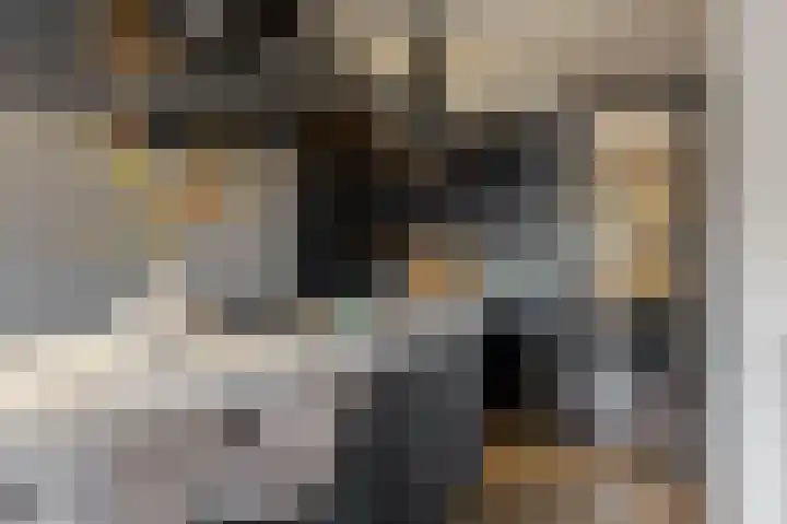 Slotlaan 187 Zeist thumbnail 7