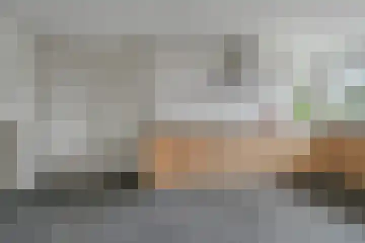 Slotlaan 20 Ulvenhout thumbnail 19