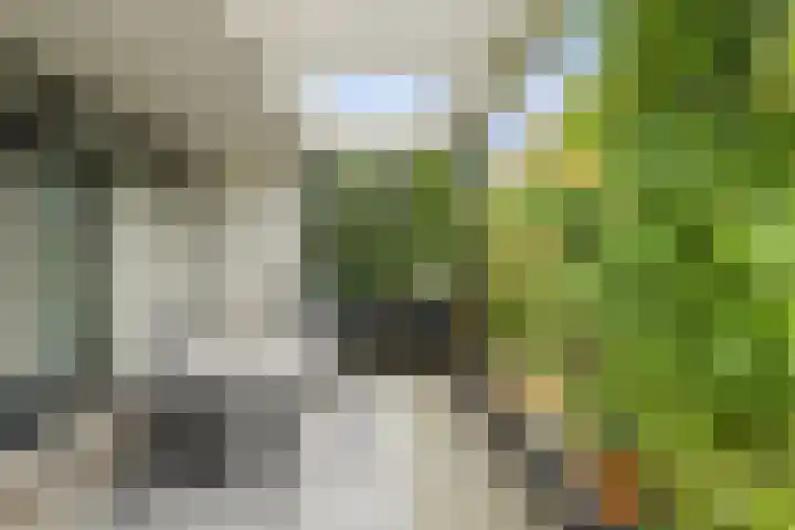 Slotlaan 20 Ulvenhout thumbnail 45