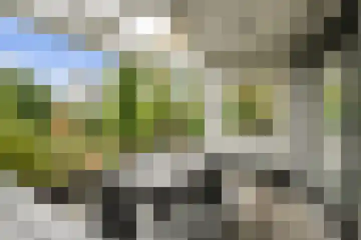 Slotlaan 20 Ulvenhout thumbnail 46