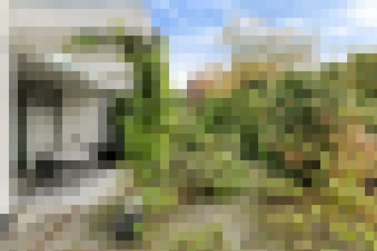 Slotlaan 20 Ulvenhout thumbnail 46