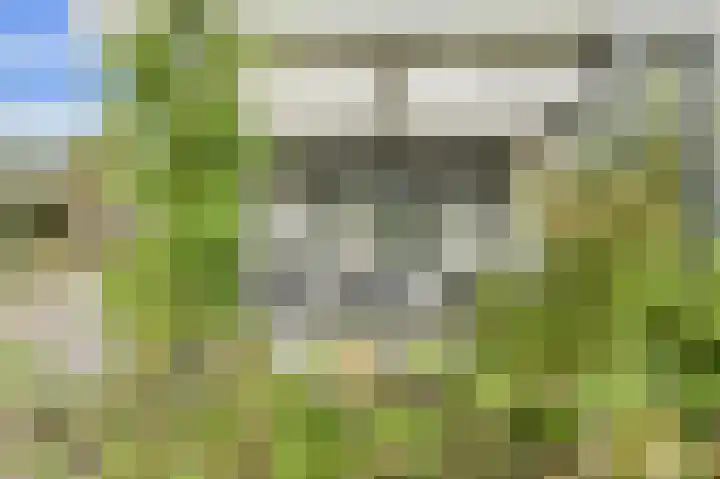 Slotlaan 20 Ulvenhout thumbnail 47