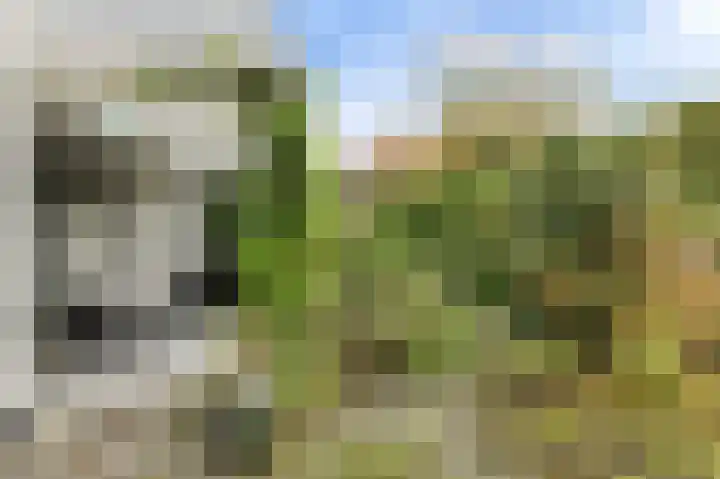 Slotlaan 20 Ulvenhout thumbnail 48