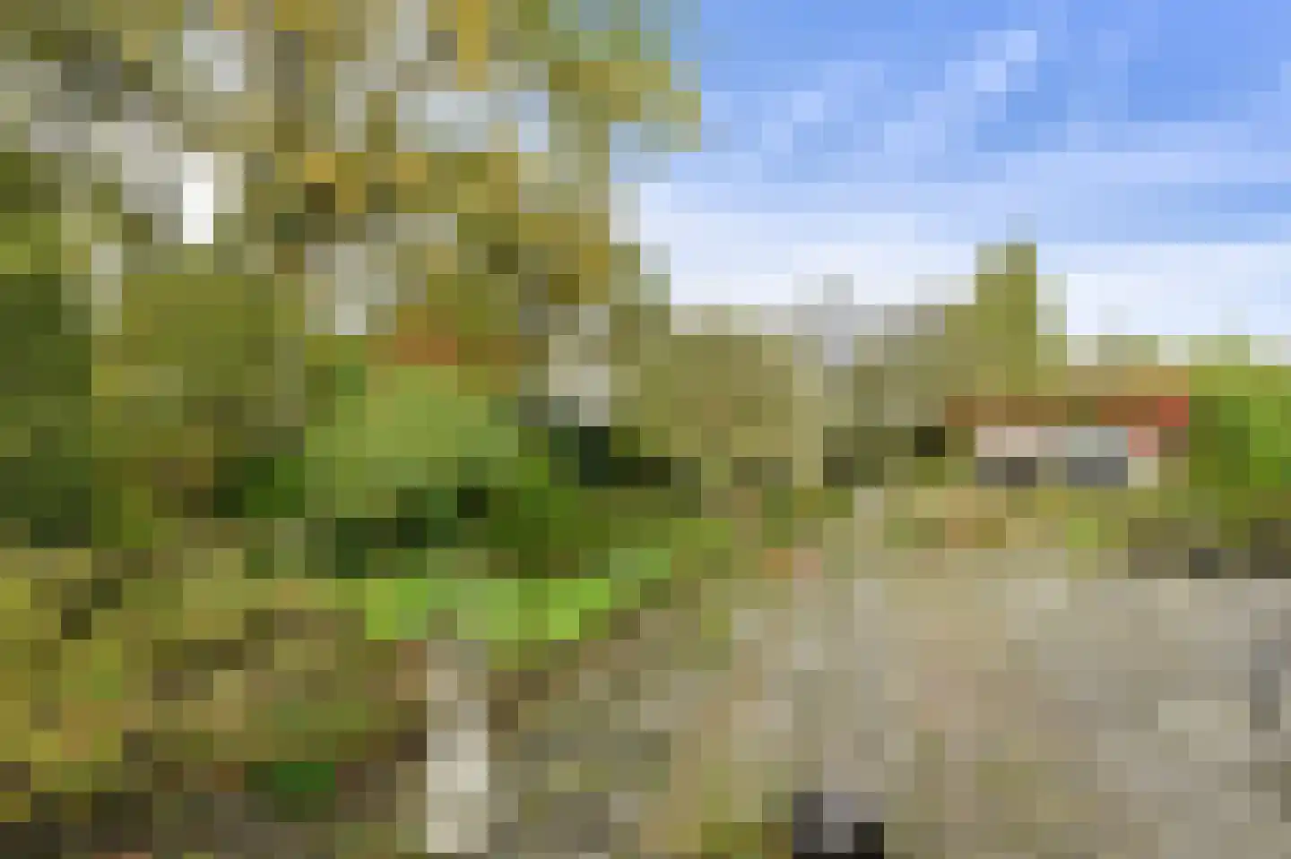 Slotlaan 20 Ulvenhout thumbnail 49