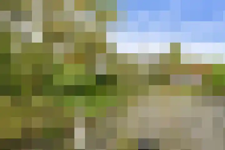 Slotlaan 20 Ulvenhout thumbnail 51