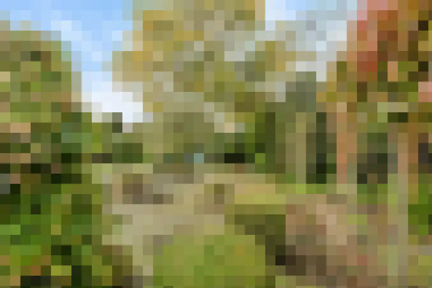 Slotlaan 20 Ulvenhout thumbnail 52