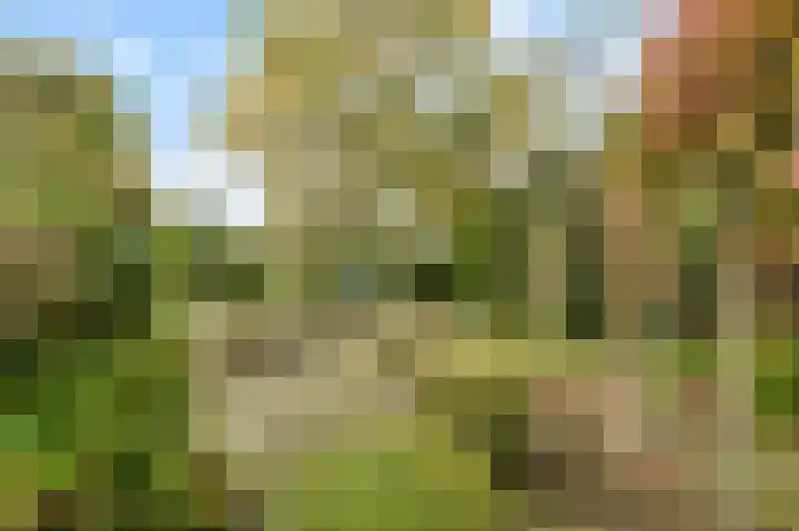Slotlaan 20 Ulvenhout thumbnail 54