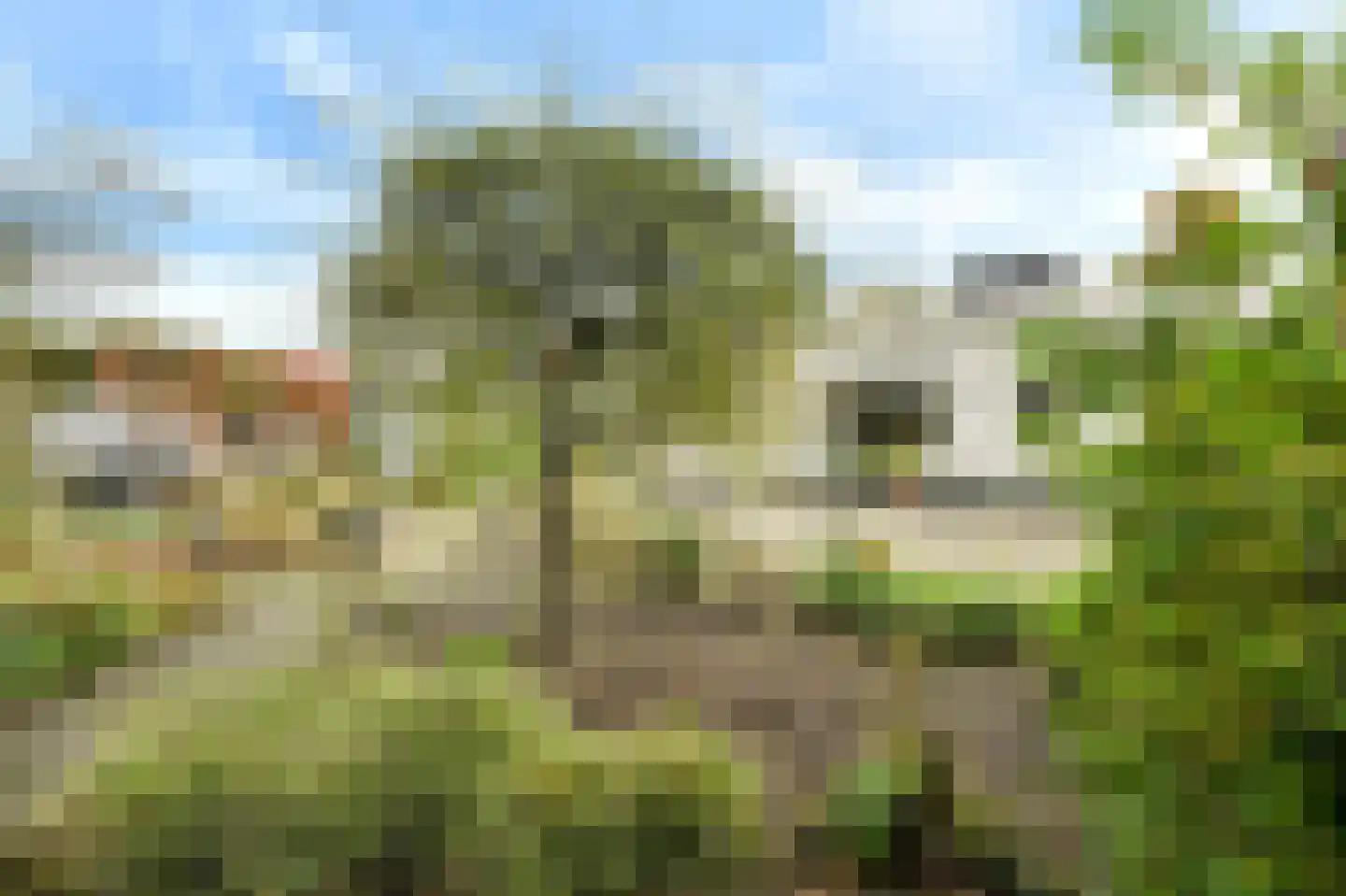 Slotlaan 20 Ulvenhout thumbnail 55
