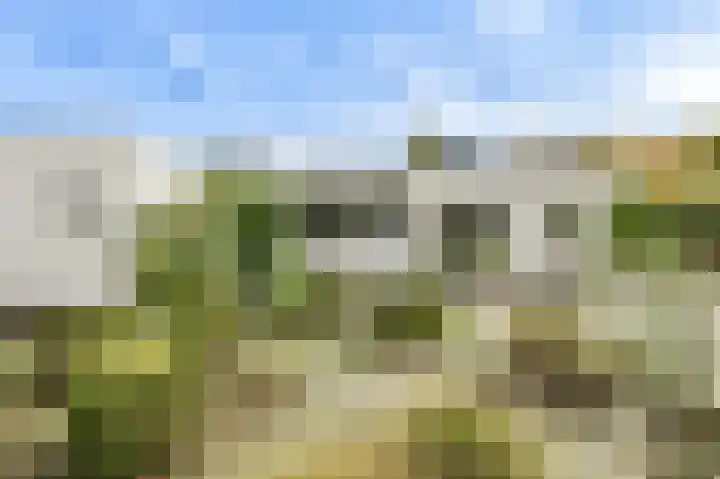 Slotlaan 20 Ulvenhout thumbnail 56