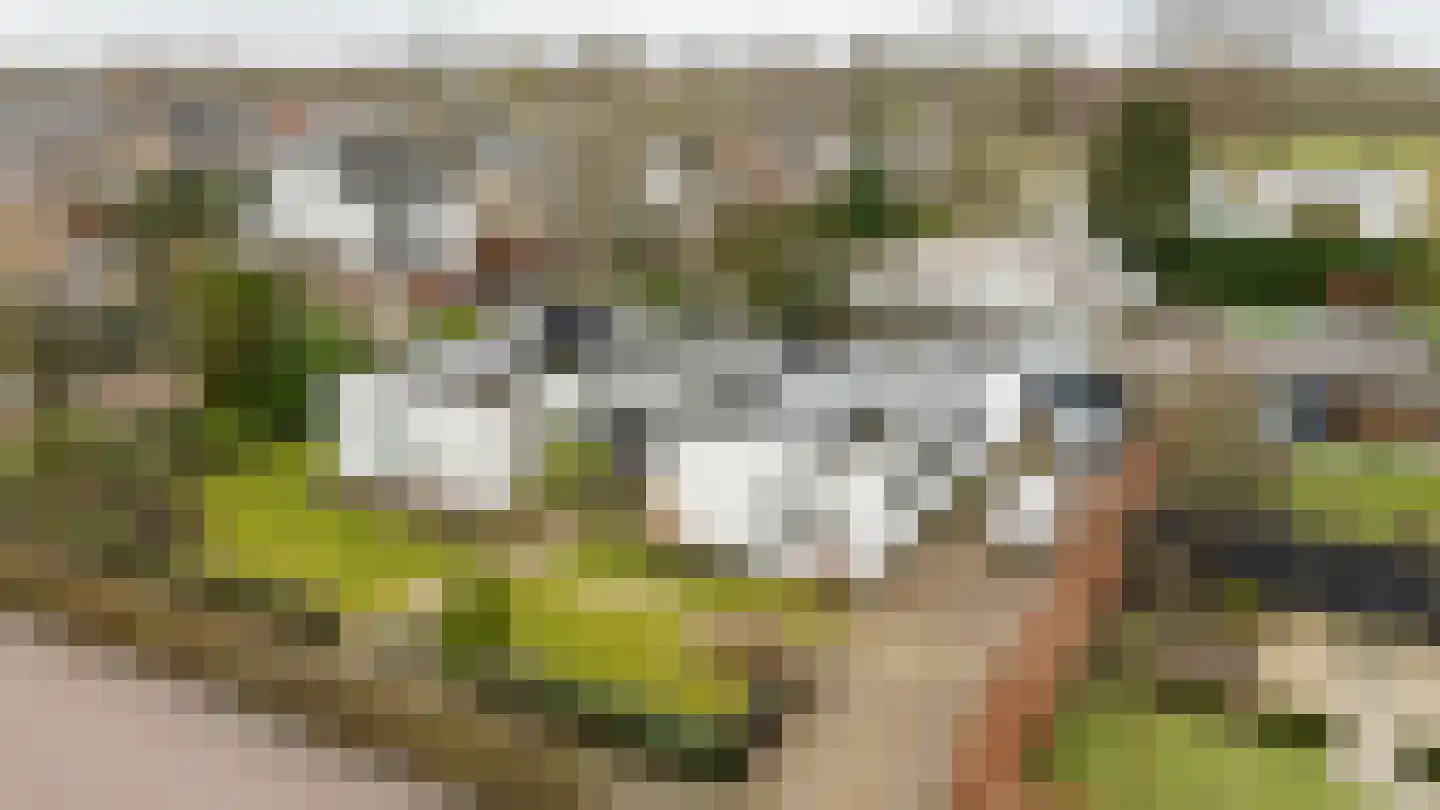 Slotlaan 20 Ulvenhout thumbnail 56