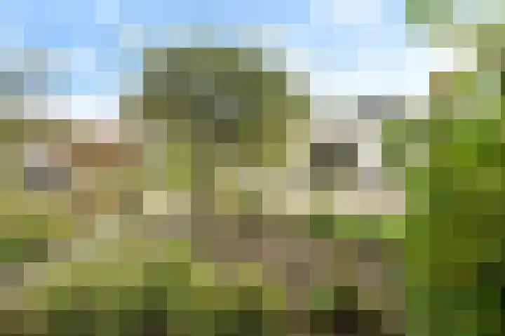 Slotlaan 20 Ulvenhout thumbnail 57