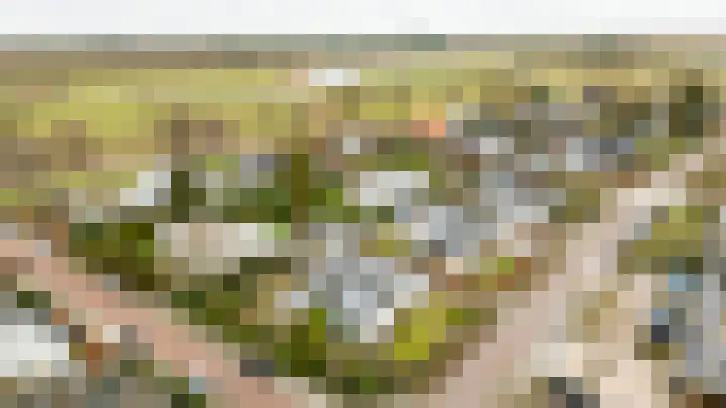Slotlaan 20 Ulvenhout thumbnail 61